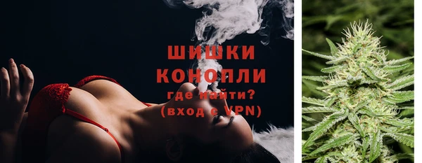 спиды Ладушкин