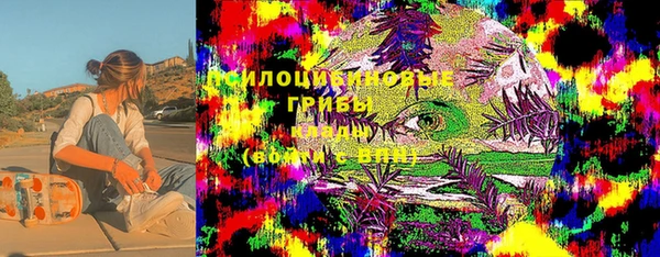 спиды Ладушкин
