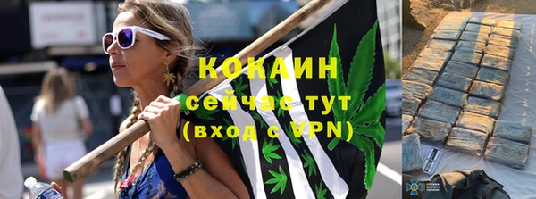 МДПВ Лиски