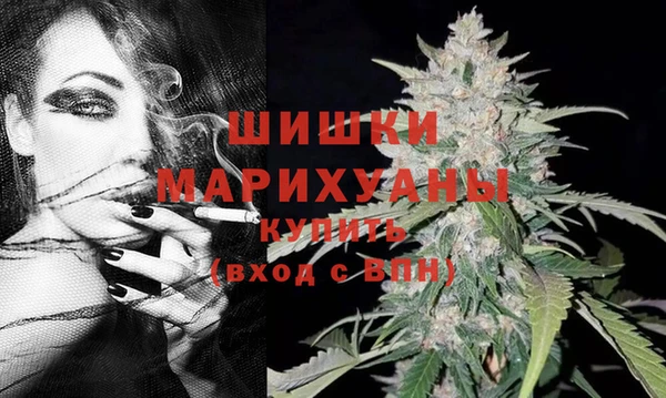 mdpv Санкт-Петербург