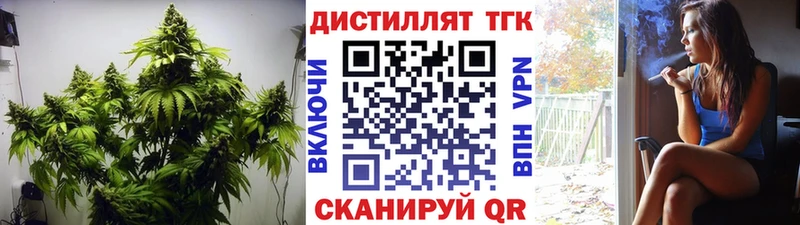 Дистиллят ТГК концентрат Купить Красный Кут