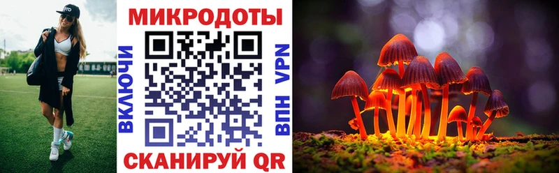 Купить закладки  Красный Кут  Галлюциногенные грибы Magic Shrooms 
